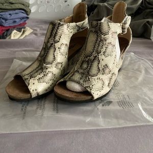 Snake skin booties